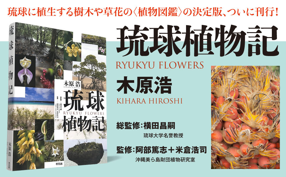 沖縄教材植物図鑑 路傍の草木 （琉球・沖縄）　　■A■ 沖縄の自然美を丸ごと収めた永久保存版『琉球植物記』発売 | 球陽堂