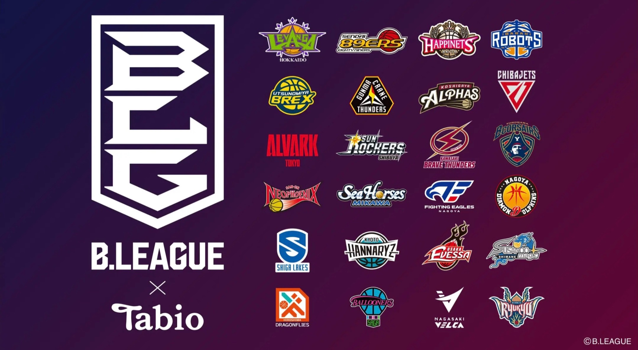 Bリーグ×Tabio 琉球キングス 再販!!