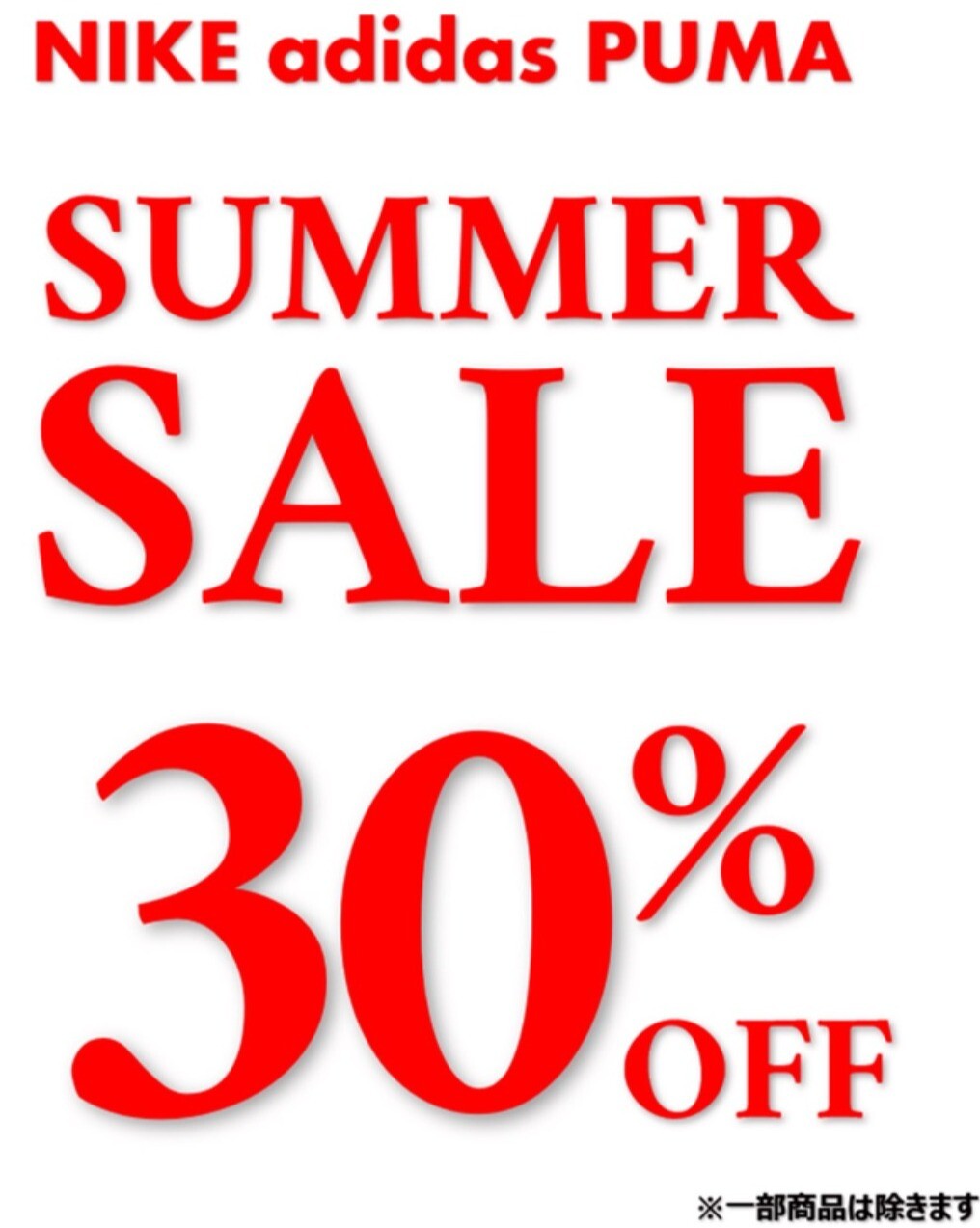 🌞「SUMMER SALE 開催中!」 🌴✨