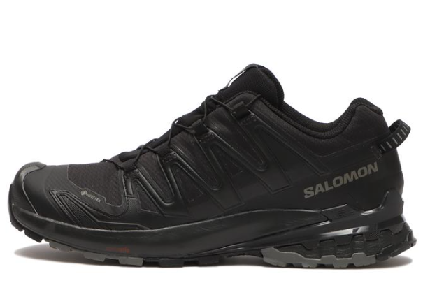 🌟salomon ゴアテックス 機能性◎最新シューズ🌟